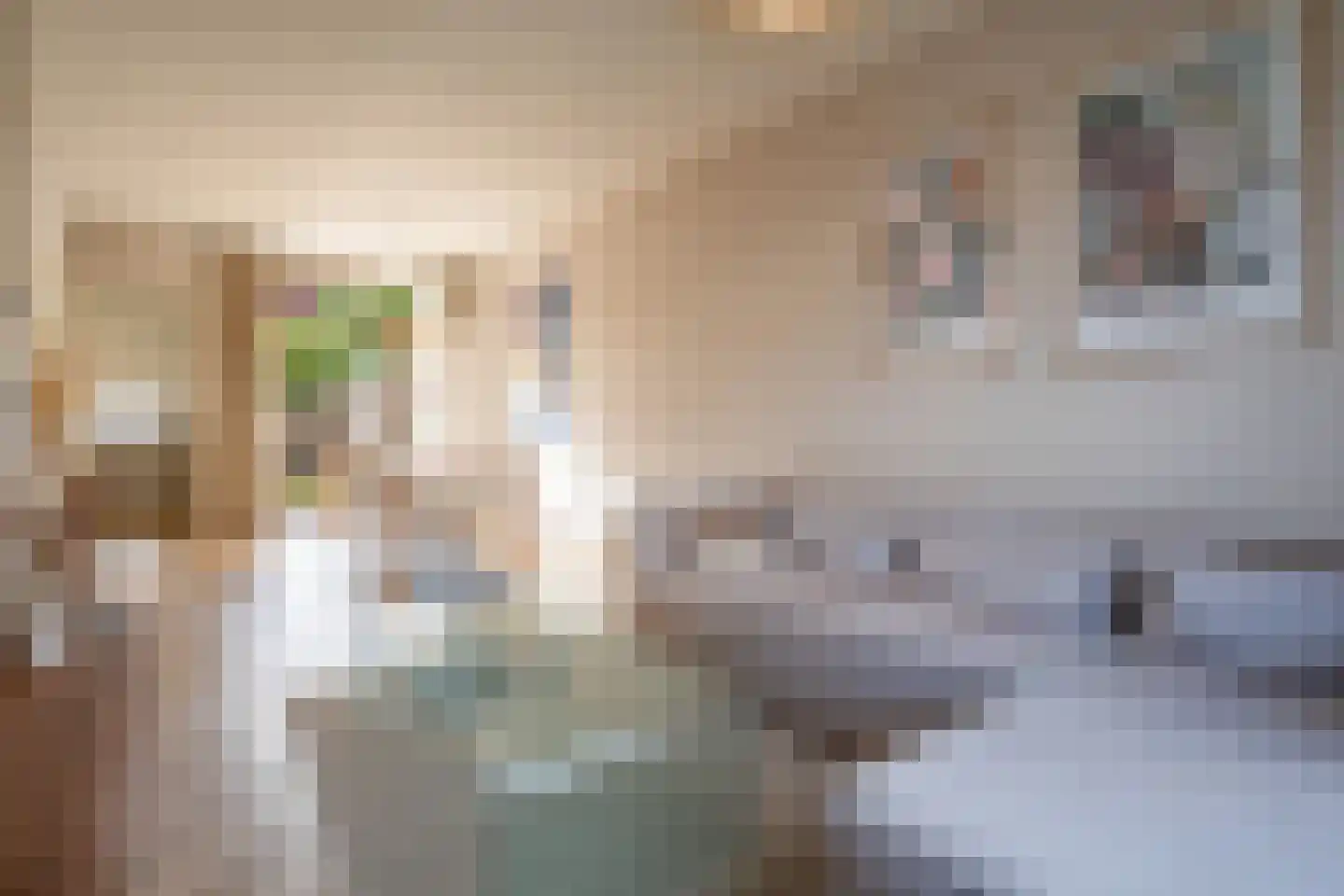 Nuijtsstraat 45 Breda thumbnail 10