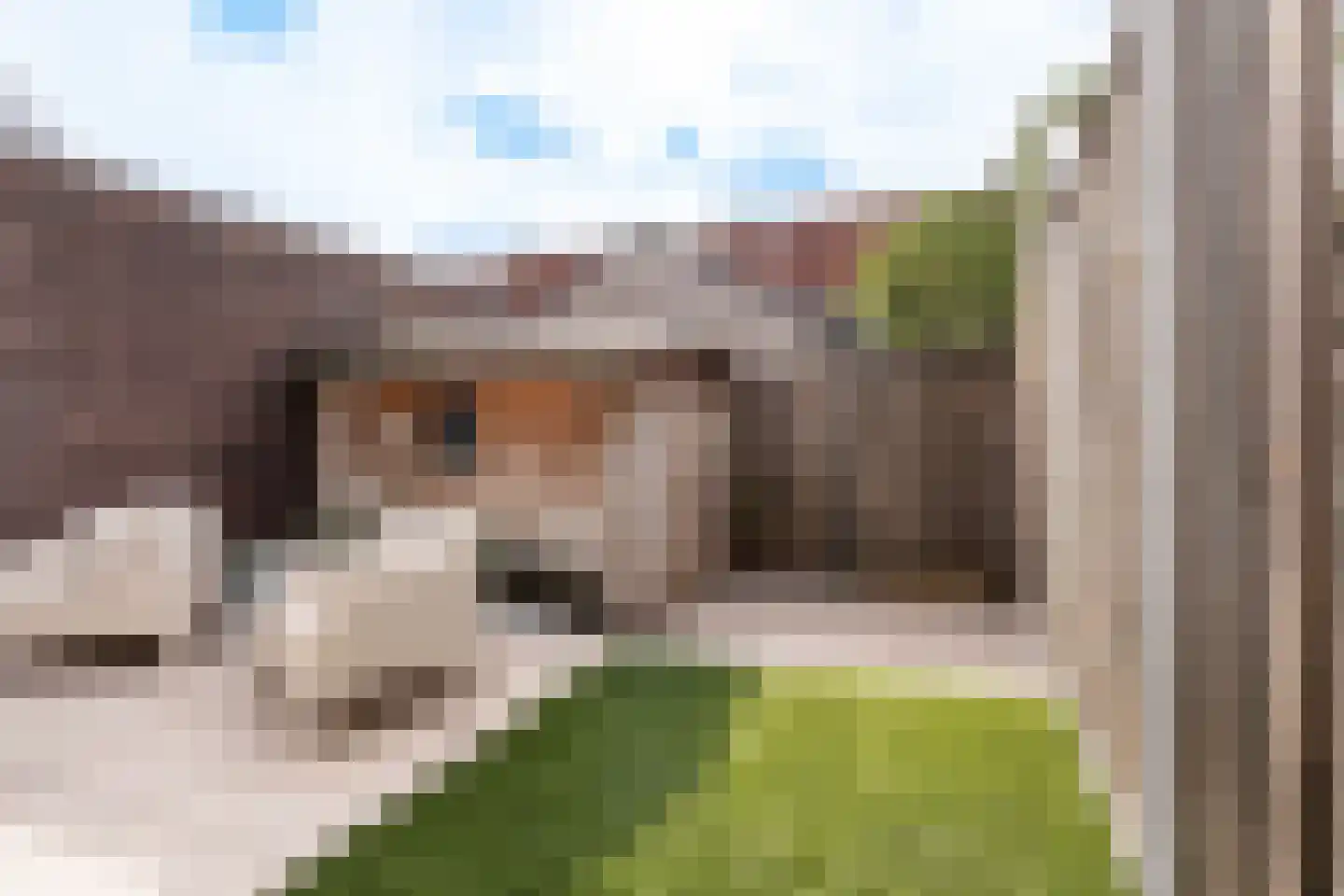 Nuijtsstraat 45 Breda thumbnail 21