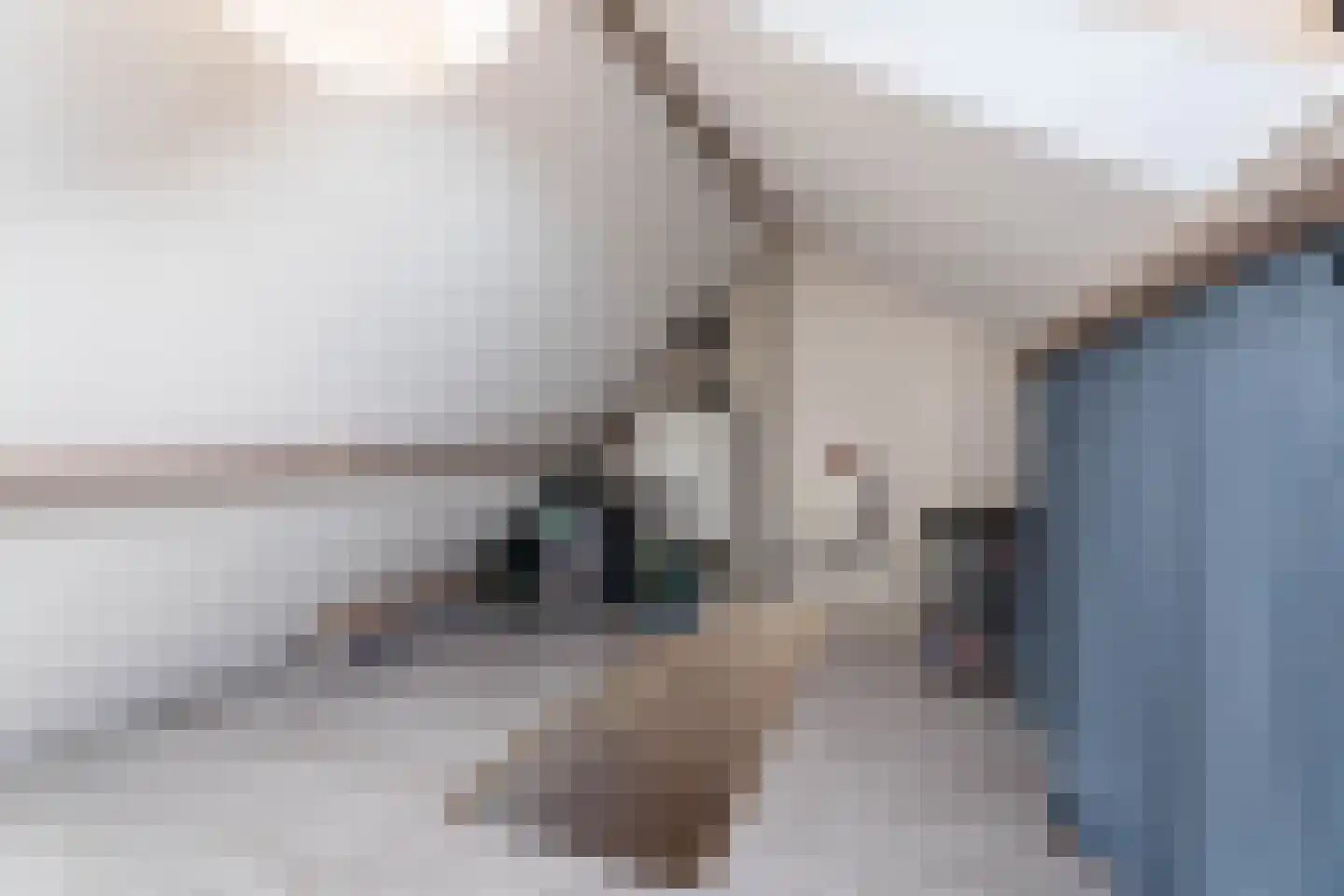 Nuijtsstraat 45 Breda thumbnail 34