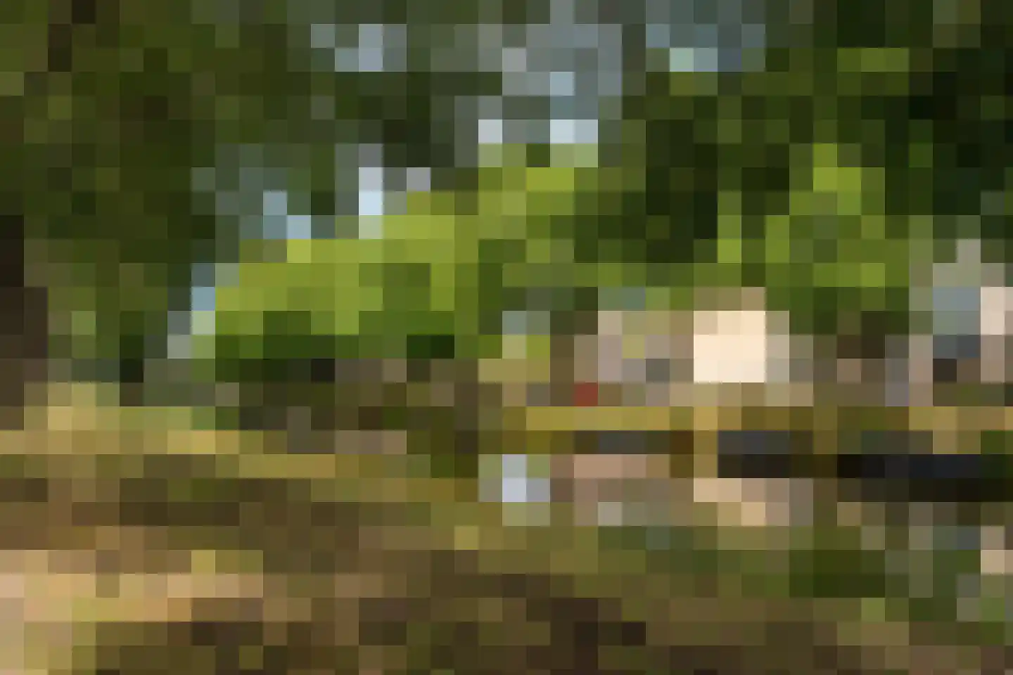 Nuijtsstraat 45 Breda thumbnail 37