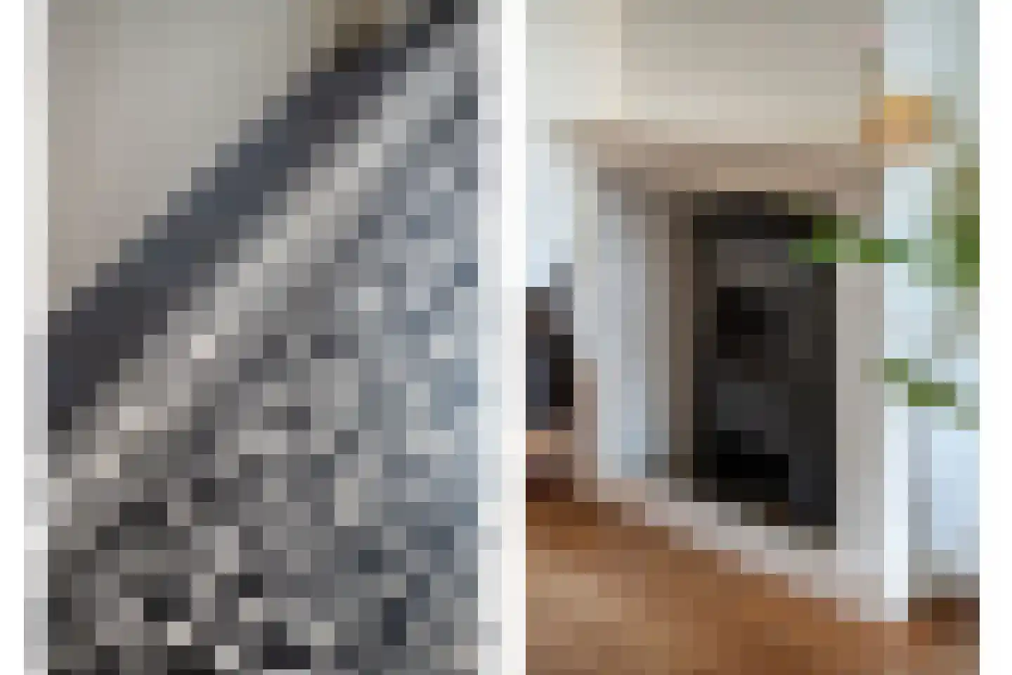 Nuijtsstraat 5 Breda thumbnail 10