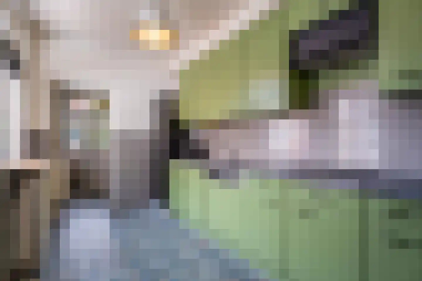 Nuijtsstraat 5 Breda thumbnail 14