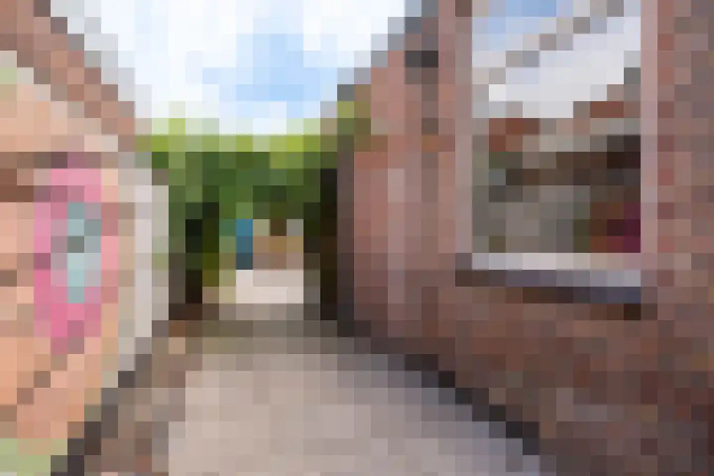 Nuijtsstraat 5 Breda thumbnail 31