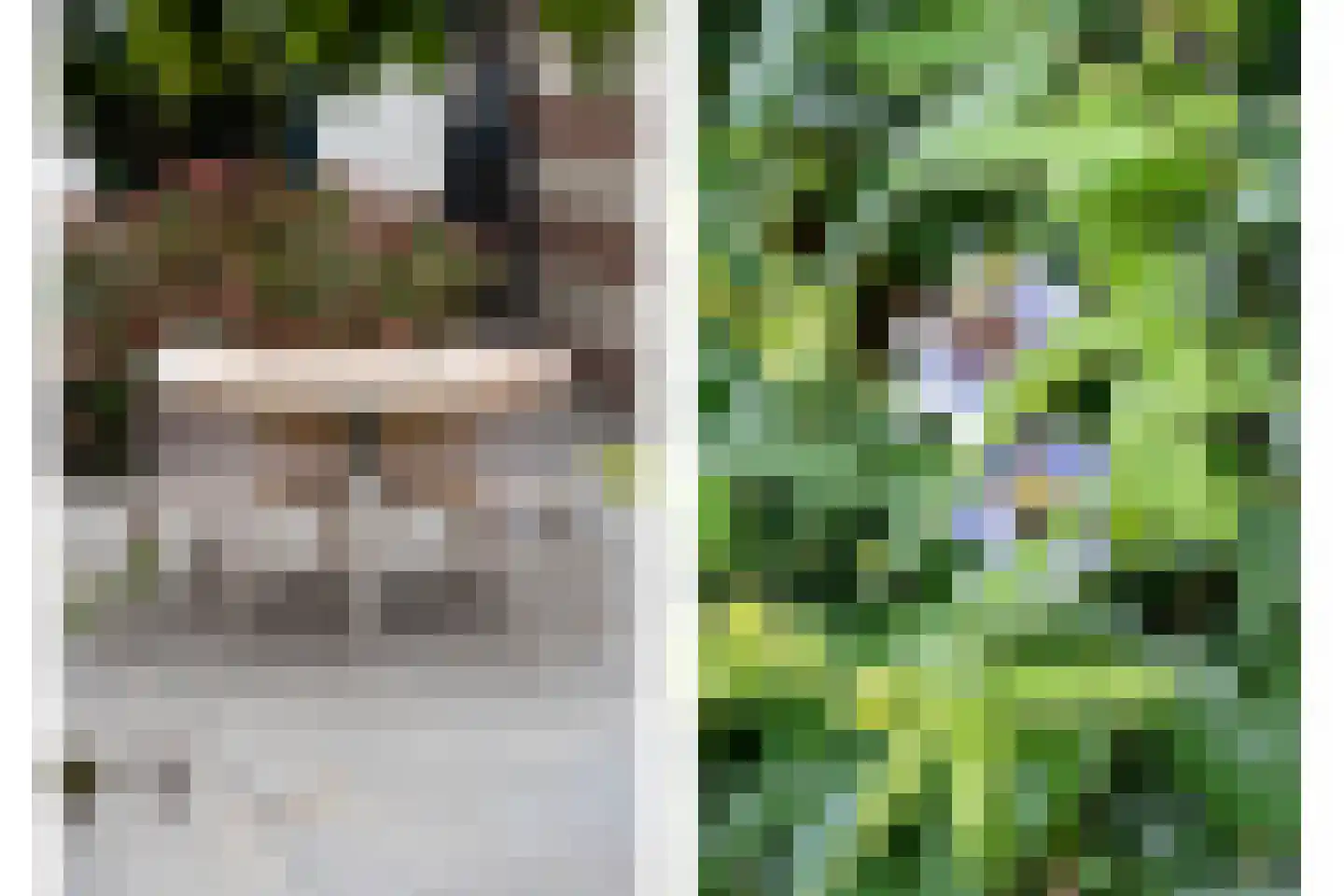 Nuijtsstraat 5 Breda thumbnail 33