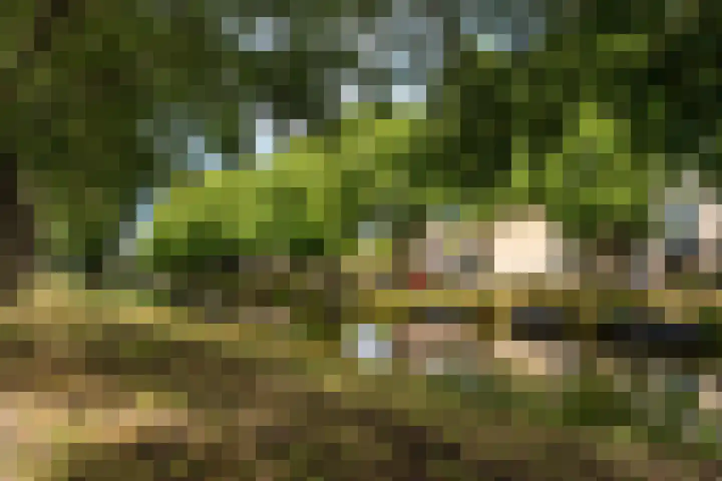 Nuijtsstraat 5 Breda thumbnail 37