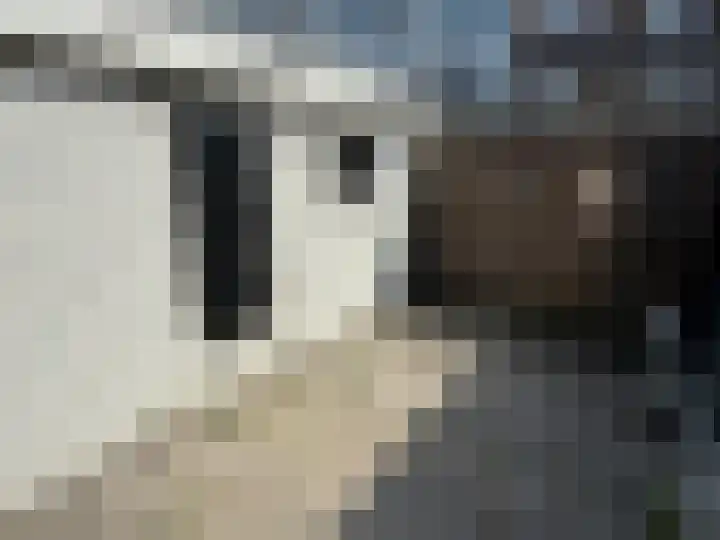 Numansdorpsestraat 11 Schiedam thumbnail 37