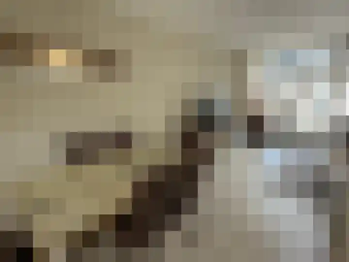 Numansdorpsestraat 11 Schiedam thumbnail 6