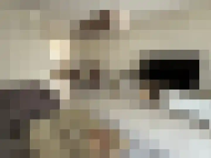 Numansdorpsestraat 11 Schiedam thumbnail 8
