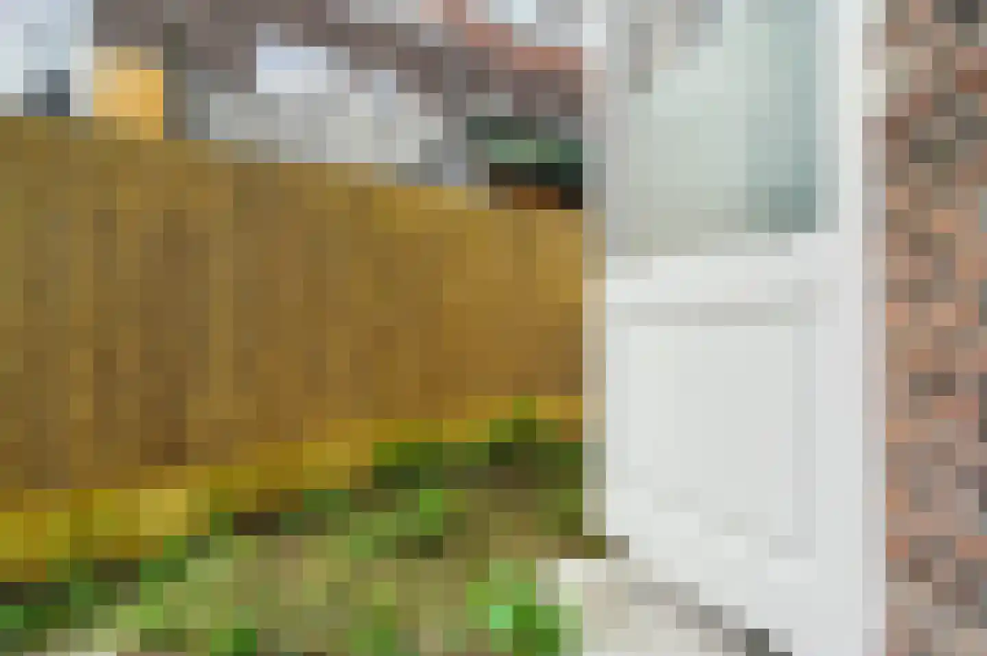 Numansdorpsestraat 17 A Schiedam thumbnail 22