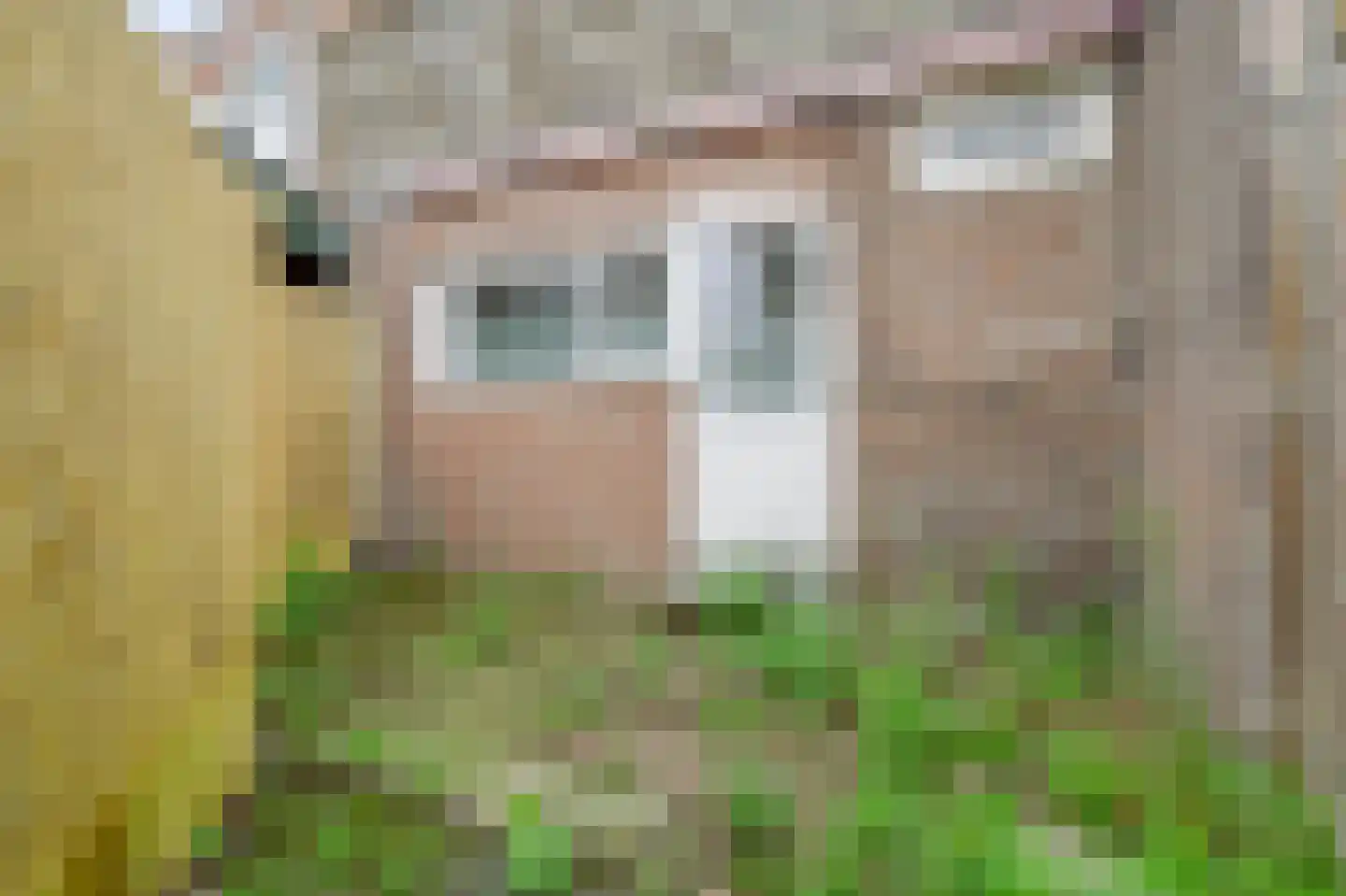 Numansdorpsestraat 17 A Schiedam thumbnail 4