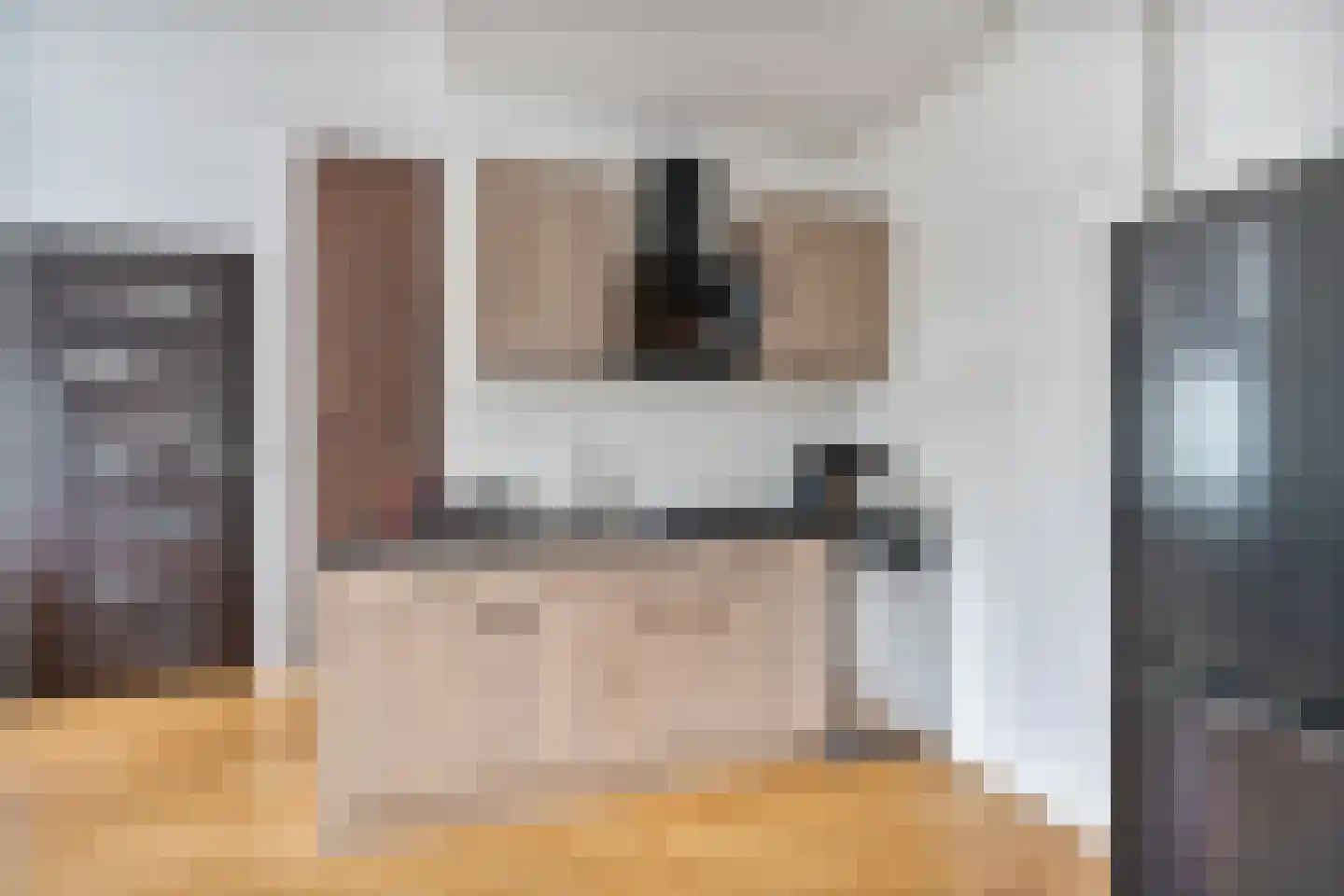 Numansdorpsestraat 19 Schiedam thumbnail 9