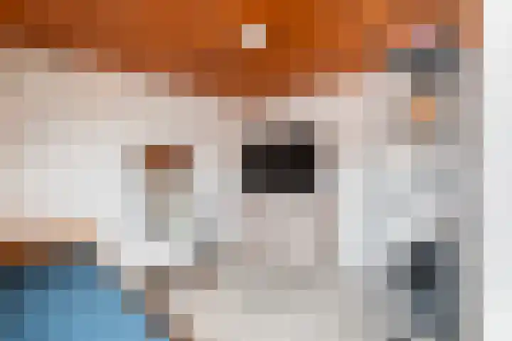 Numansdorpsestraat 8 Schiedam thumbnail 51