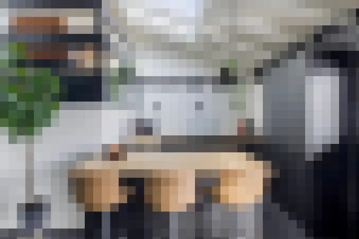 Numansgors 135 Numansdorp thumbnail 10