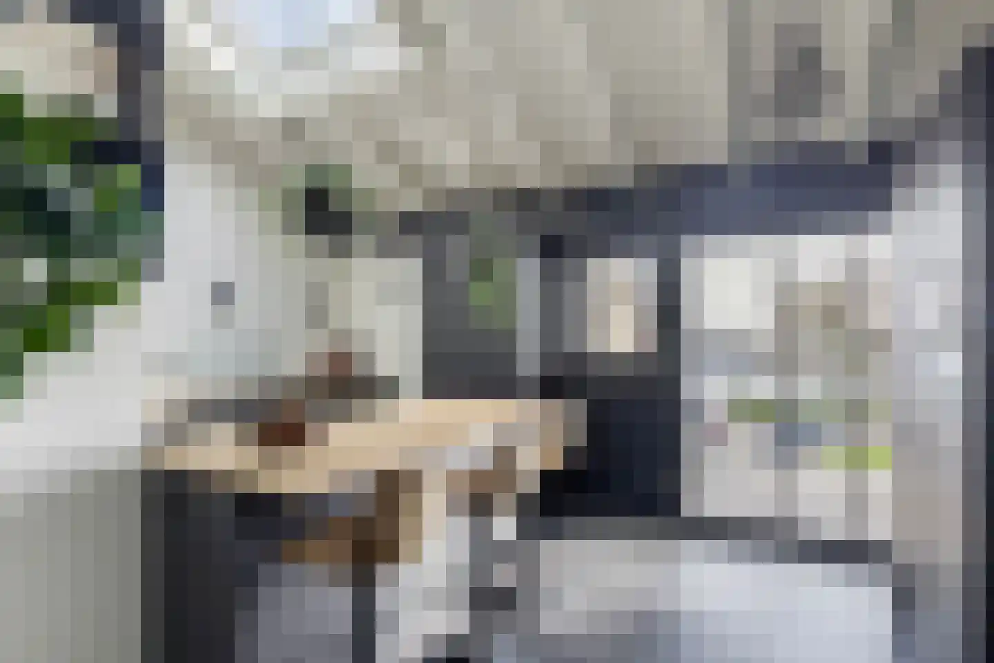 Numansgors 135 Numansdorp thumbnail 15