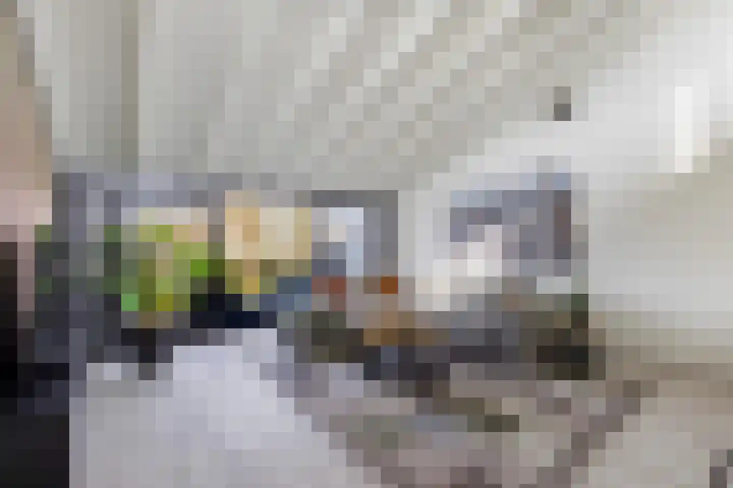 Numansgors 135 Numansdorp thumbnail 16