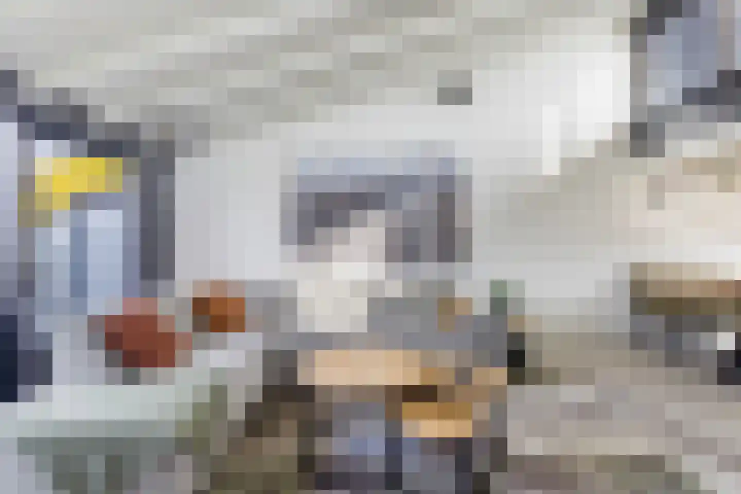 Numansgors 135 Numansdorp thumbnail 17