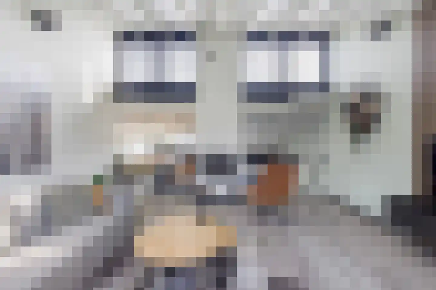 Numansgors 135 Numansdorp thumbnail 19