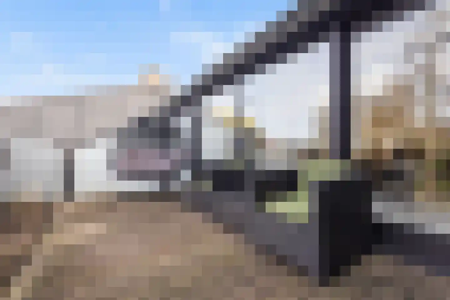 Numansgors 135 Numansdorp thumbnail 22