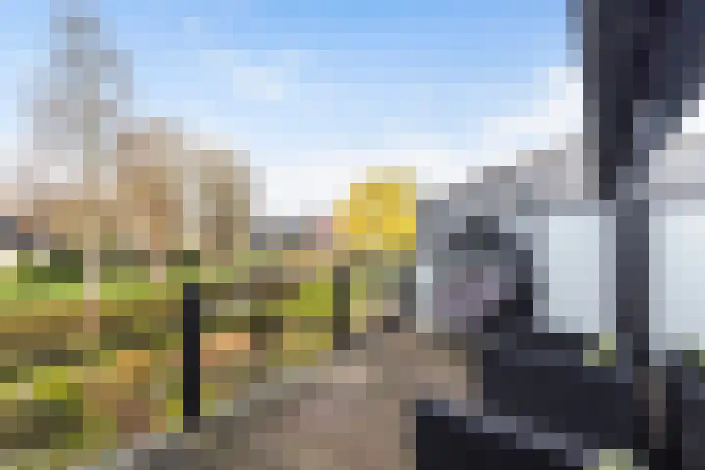 Numansgors 135 Numansdorp thumbnail 23