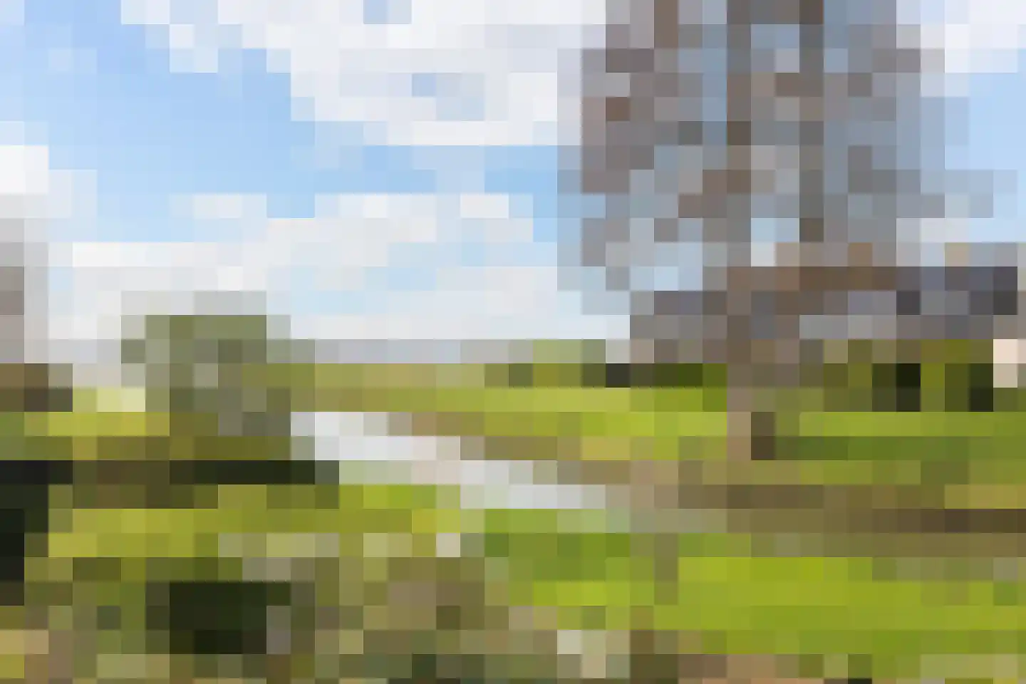 Numansgors 135 Numansdorp thumbnail 25