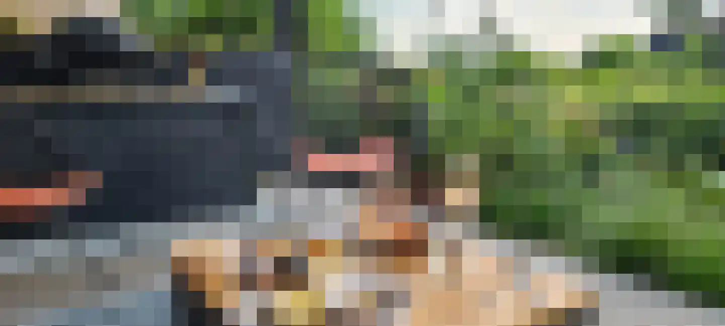 Numansgors 135 Numansdorp thumbnail 38