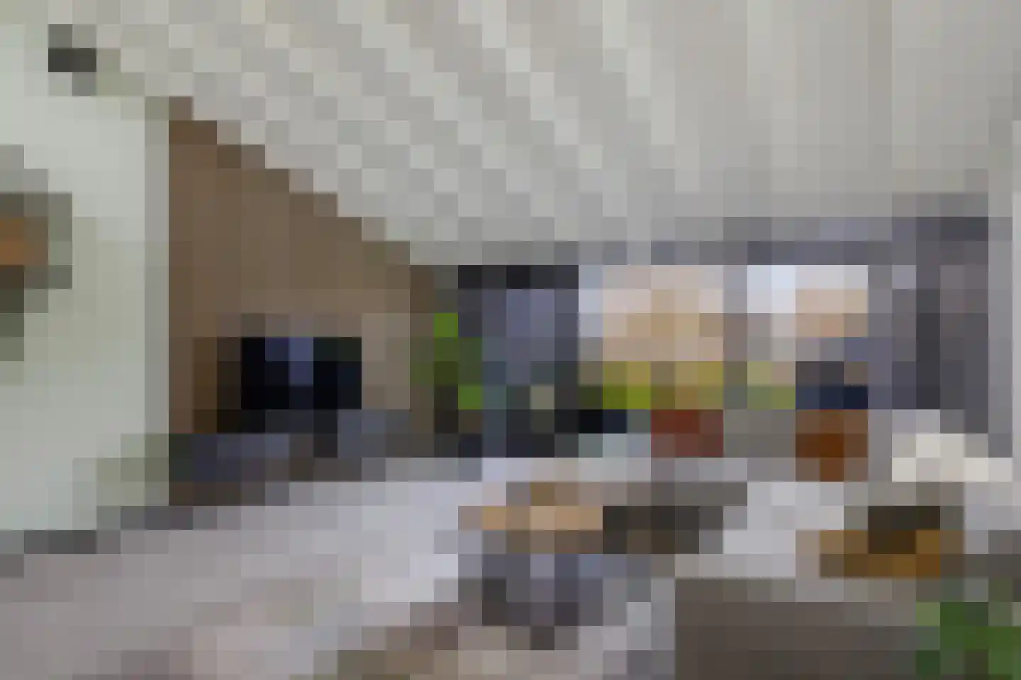 Numansgors 135 Numansdorp thumbnail 4