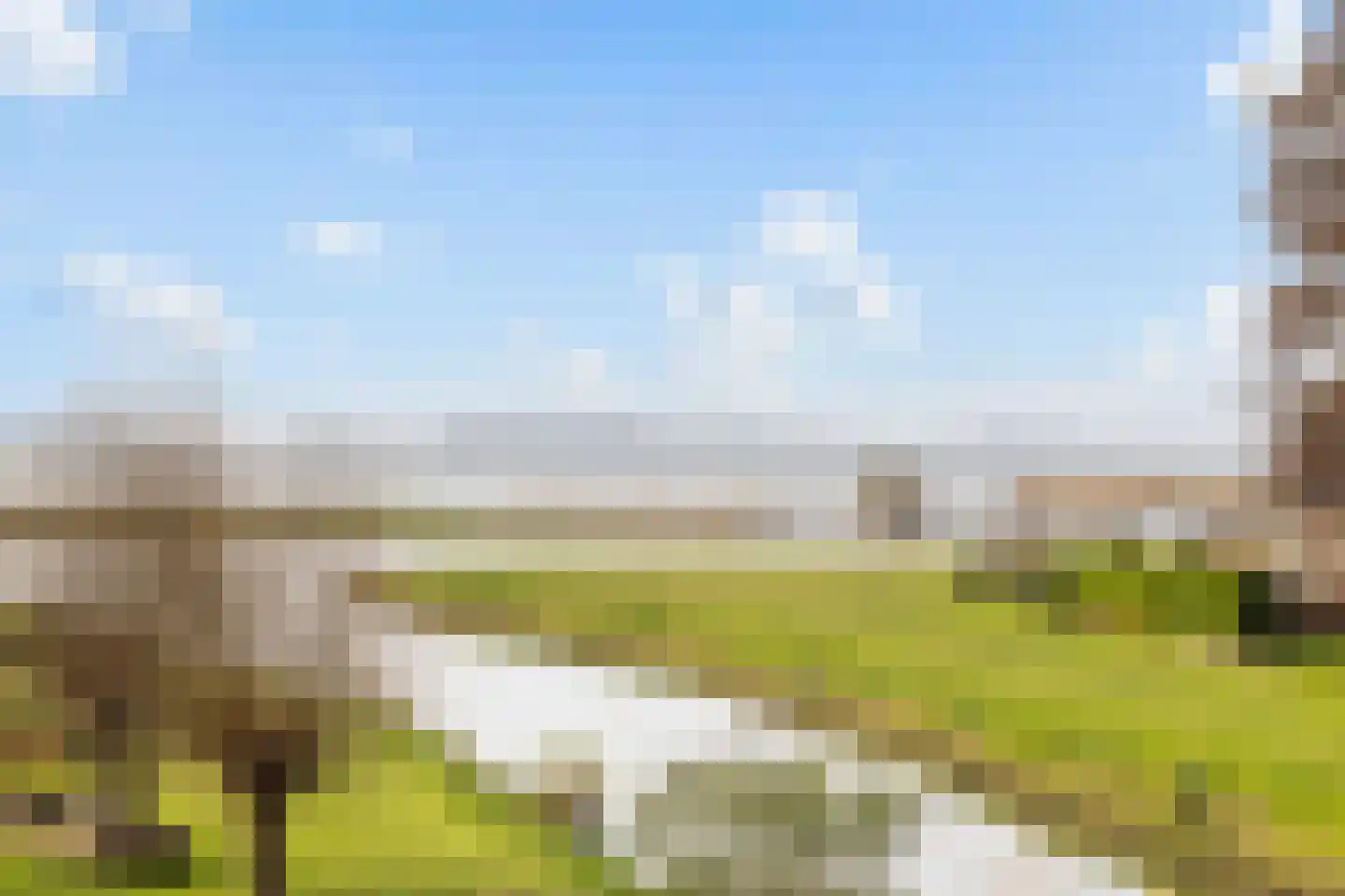 Numansgors 135 Numansdorp thumbnail 44