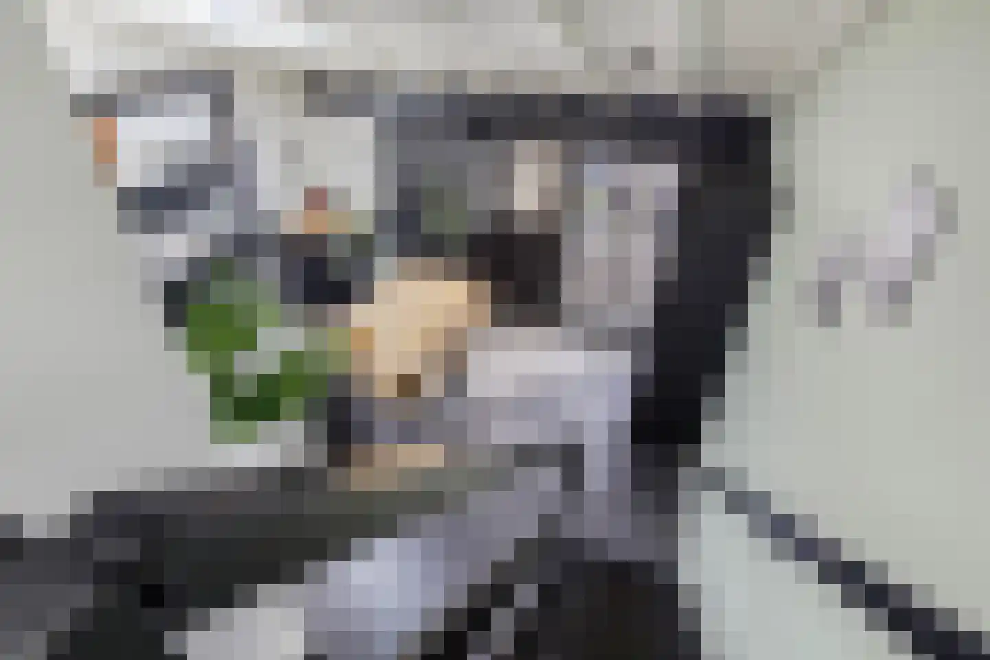 Numansgors 135 Numansdorp thumbnail 5