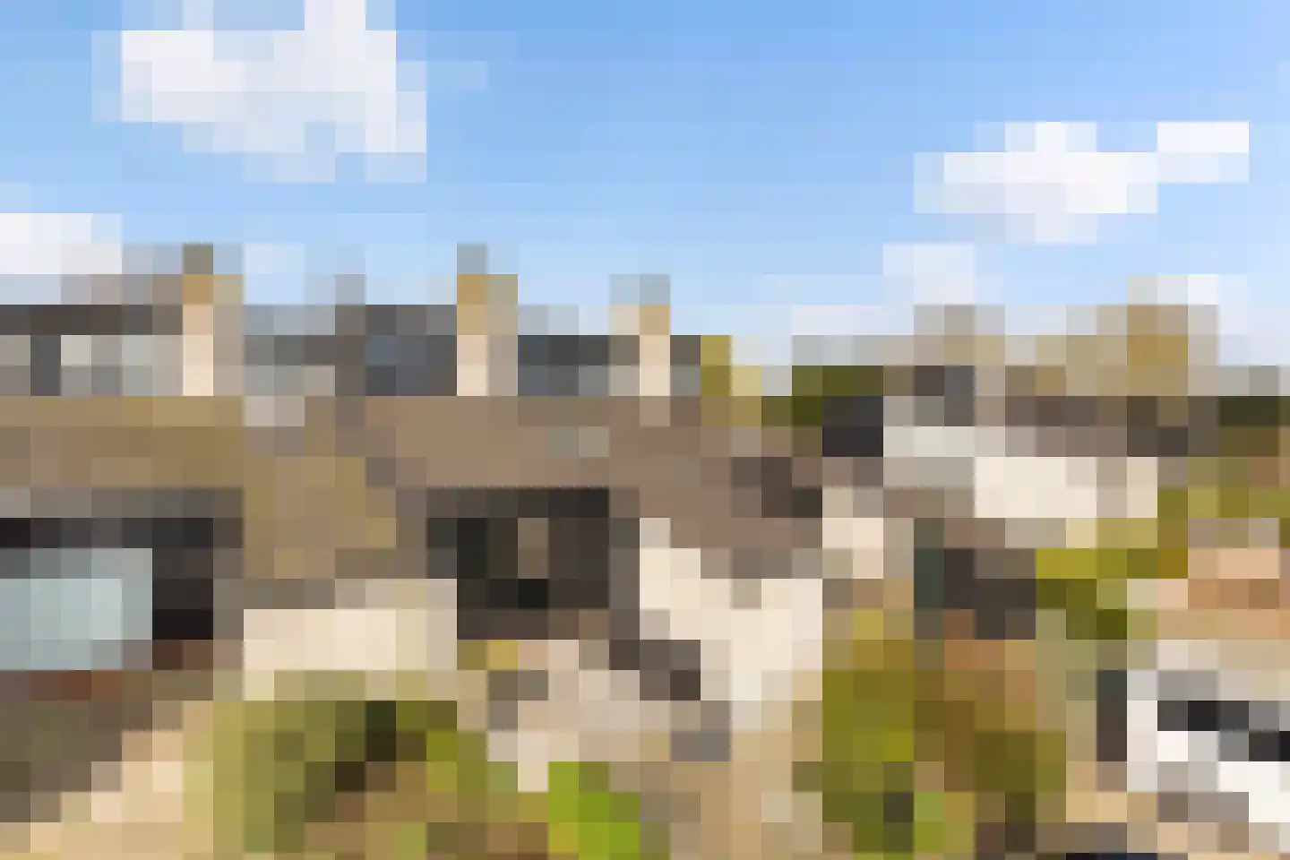 Numansgors 135 Numansdorp thumbnail 6