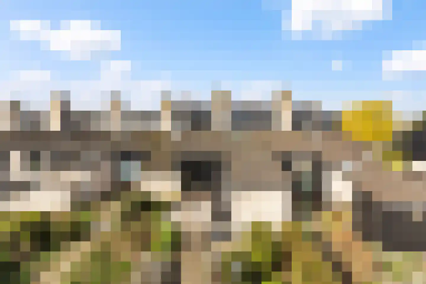 Numansgors 135 Numansdorp thumbnail 7