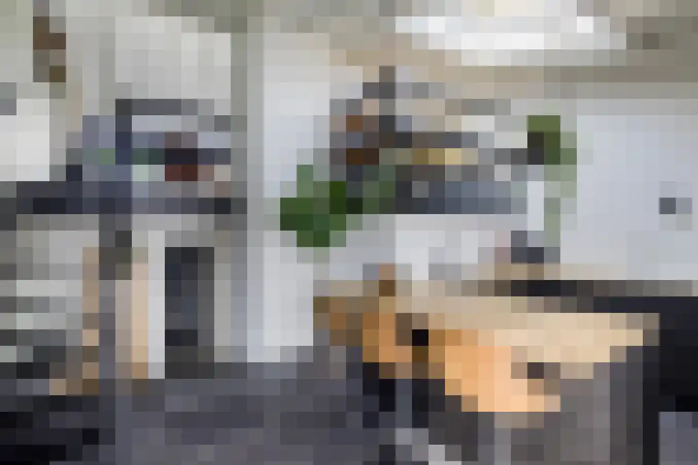 Numansgors 135 Numansdorp thumbnail 9