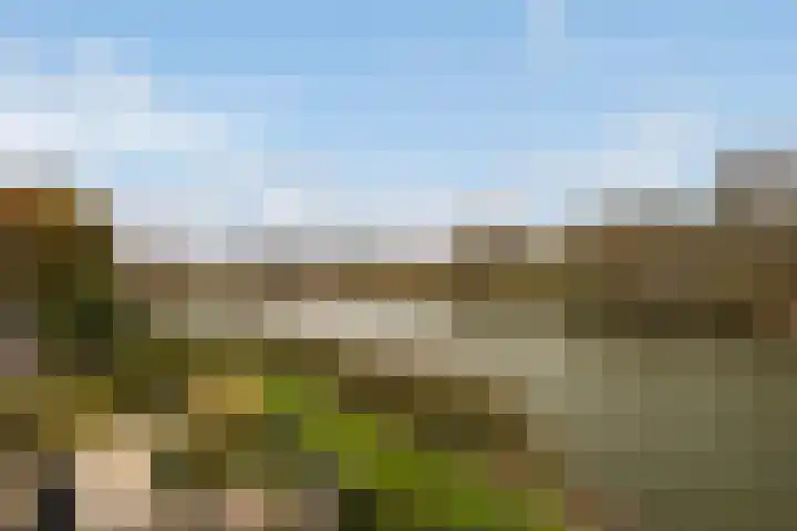 Numansgors 180 Numansdorp thumbnail 22