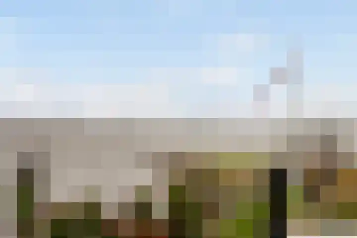 Numansgors 180 Numansdorp thumbnail 24