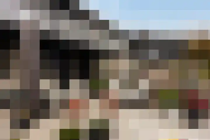 Numansgors 180 Numansdorp thumbnail 39