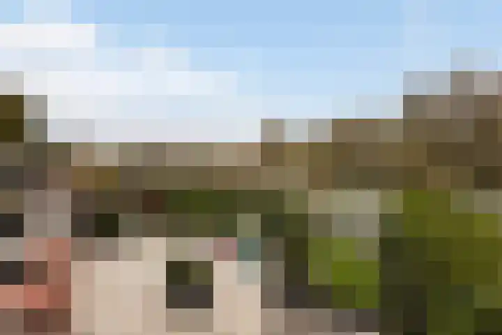 Numansgors 180 Numansdorp thumbnail 40