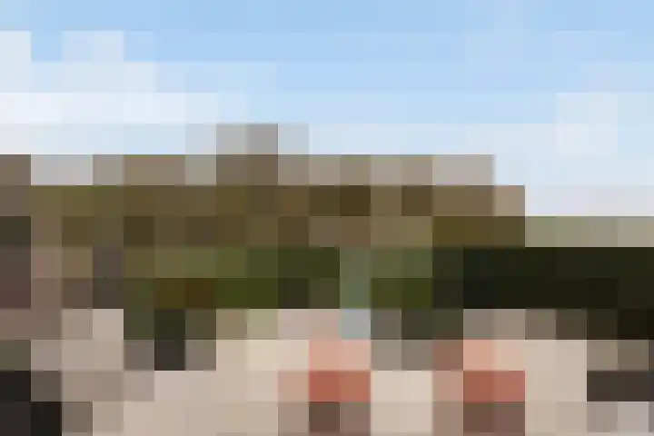 Numansgors 180 Numansdorp thumbnail 41