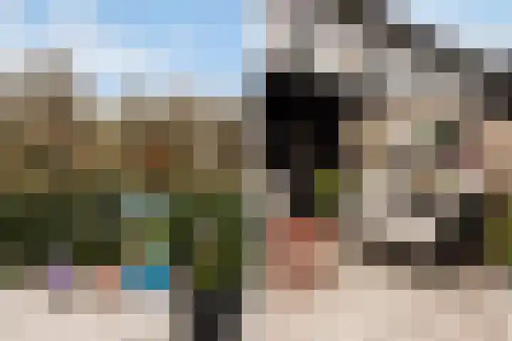 Numansgors 180 Numansdorp thumbnail 42