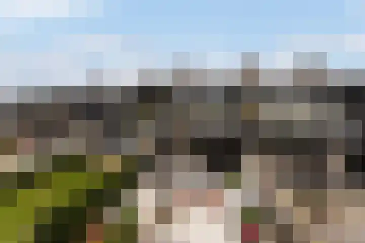 Numansgors 180 Numansdorp thumbnail 43