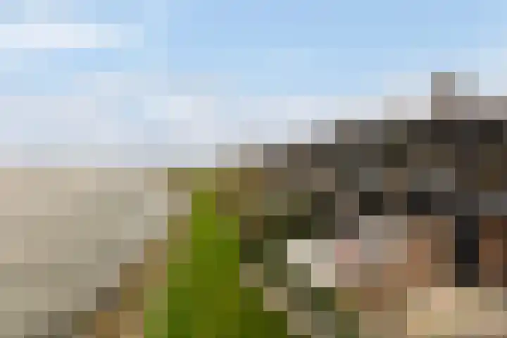 Numansgors 180 Numansdorp thumbnail 44