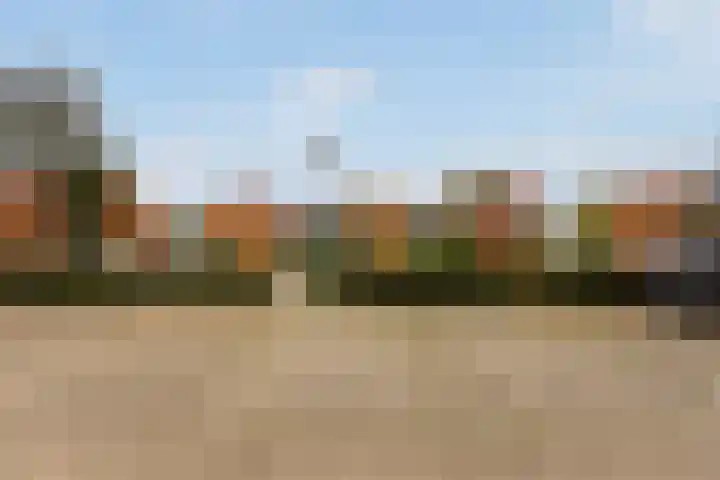 Numansgors 180 Numansdorp thumbnail 47