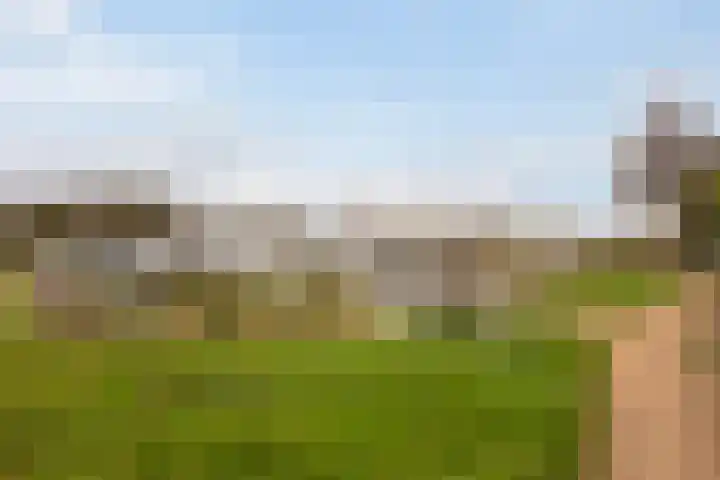 Numansgors 180 Numansdorp thumbnail 49