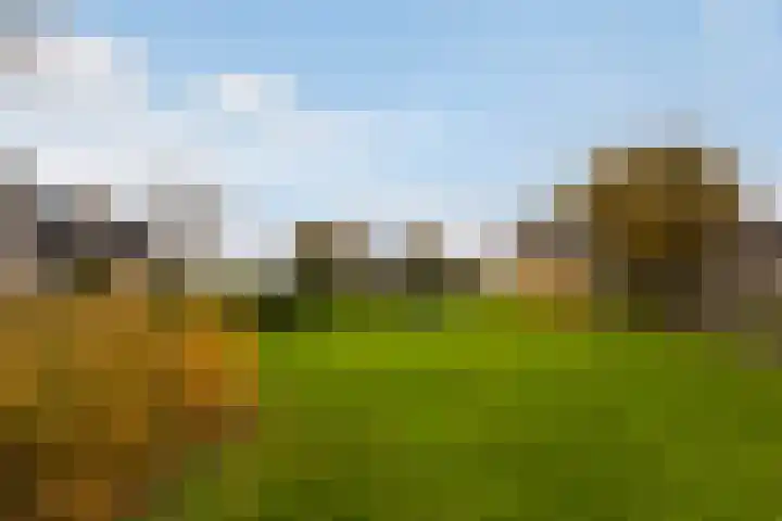 Numansgors 180 Numansdorp thumbnail 50