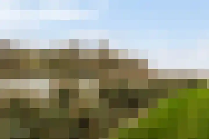 Numansgors 180 Numansdorp thumbnail 51