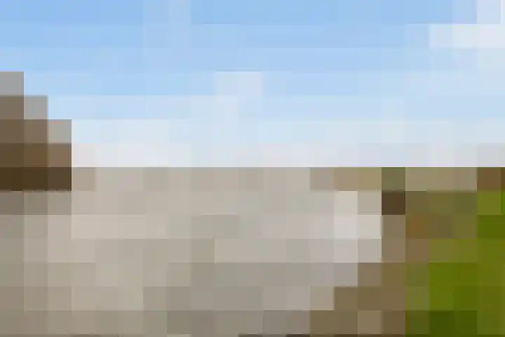 Numansgors 180 Numansdorp thumbnail 52