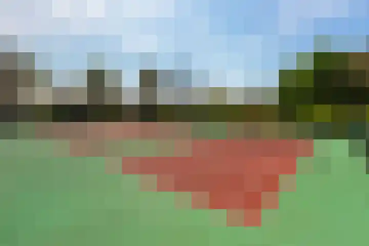 Numansgors 180 Numansdorp thumbnail 54