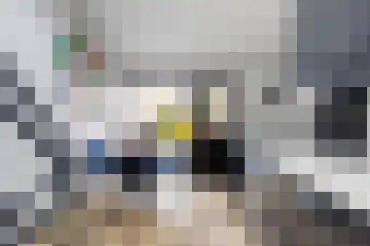 Numansgors 180 Numansdorp thumbnail 6