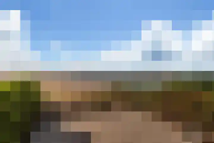 Numansgors 193 Numansdorp thumbnail 32