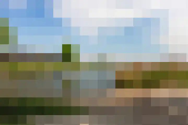 Numansgors 193 Numansdorp thumbnail 49
