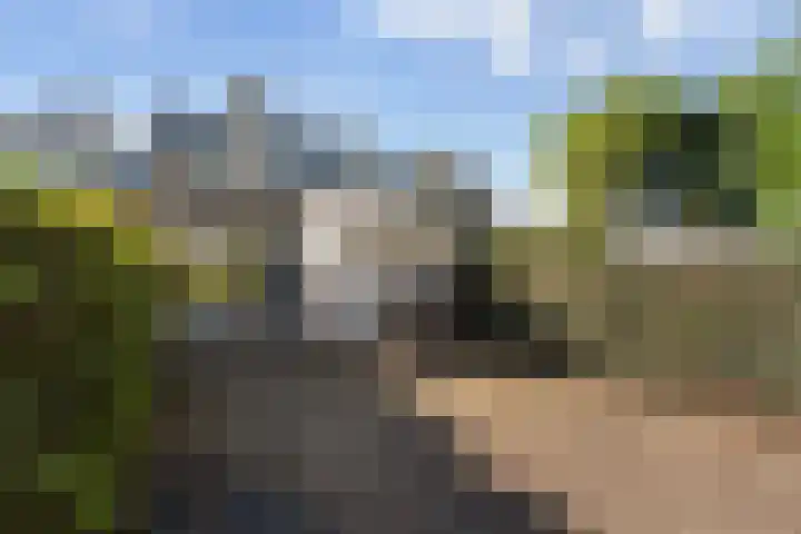 Numansgors 193 Numansdorp thumbnail 8