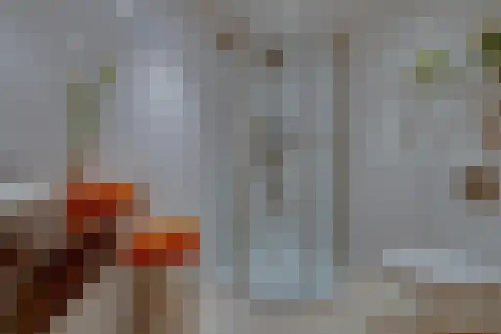 Numansgors 22 Numansdorp thumbnail 11